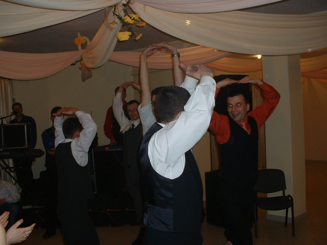 Samiczki i samce w zgodnym kolku...